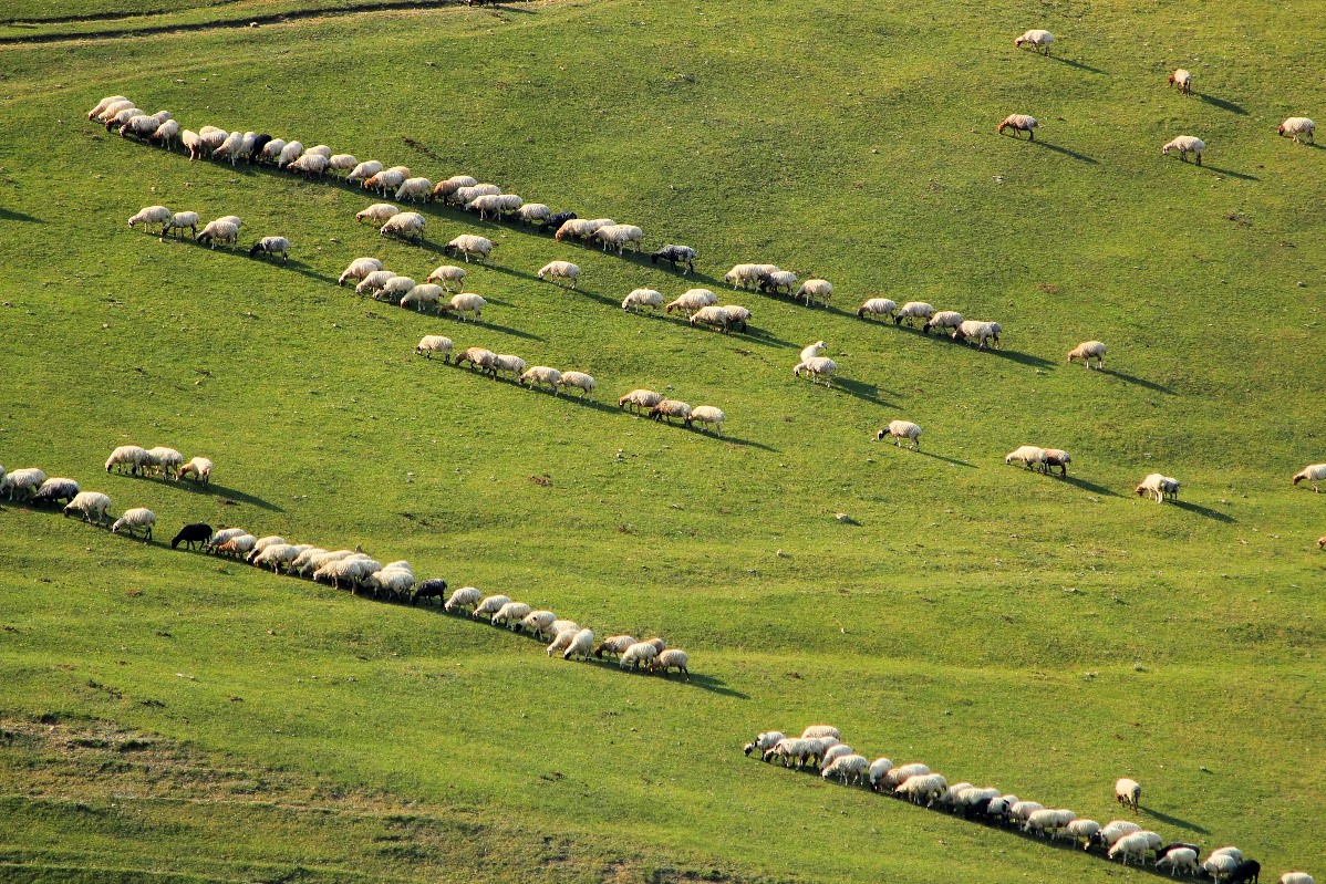 ماهنامه شهریور 1403